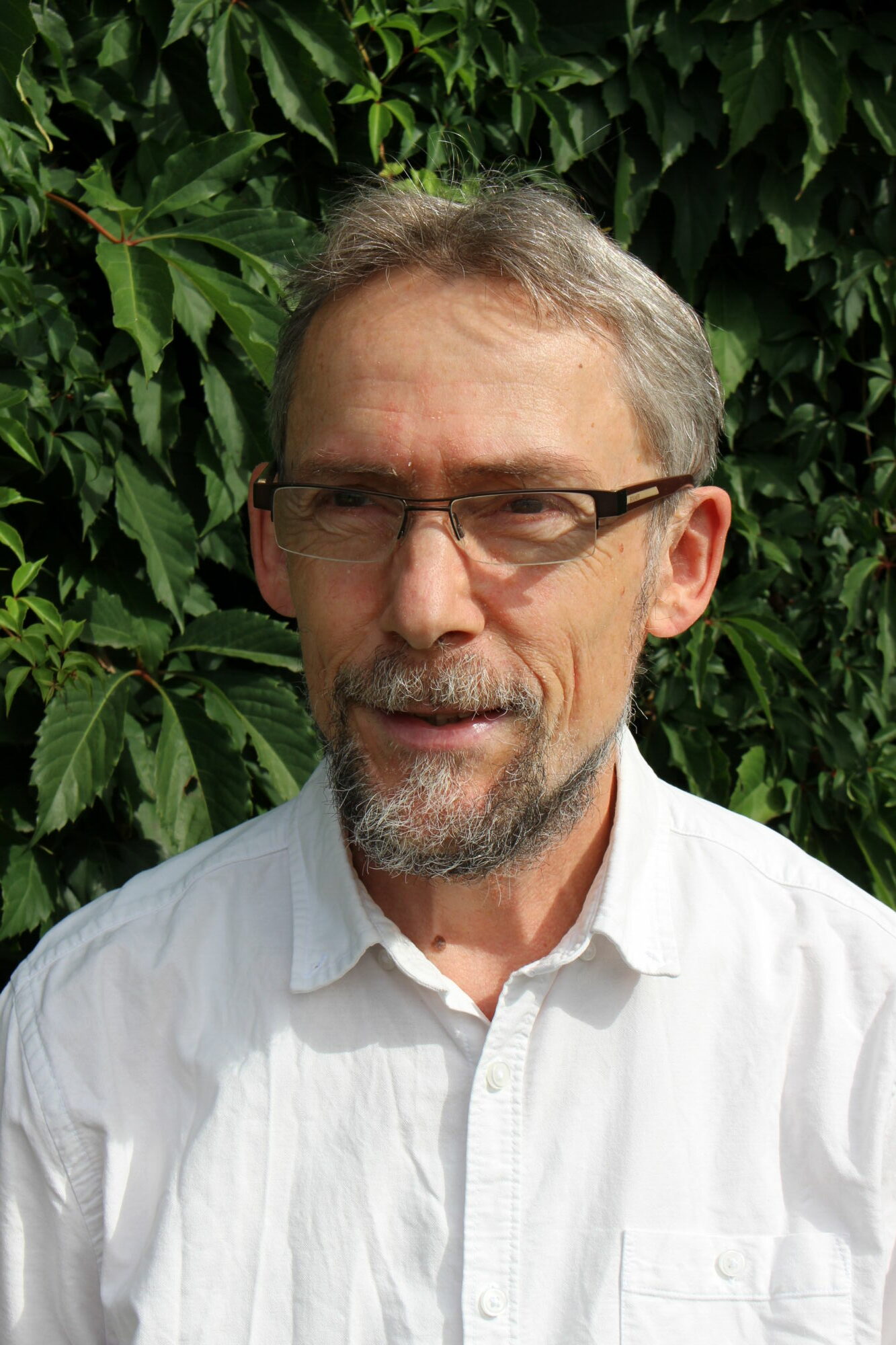 Ing. Petr Todorov